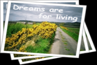 dreamsareforliving